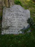 image of grave number 17267